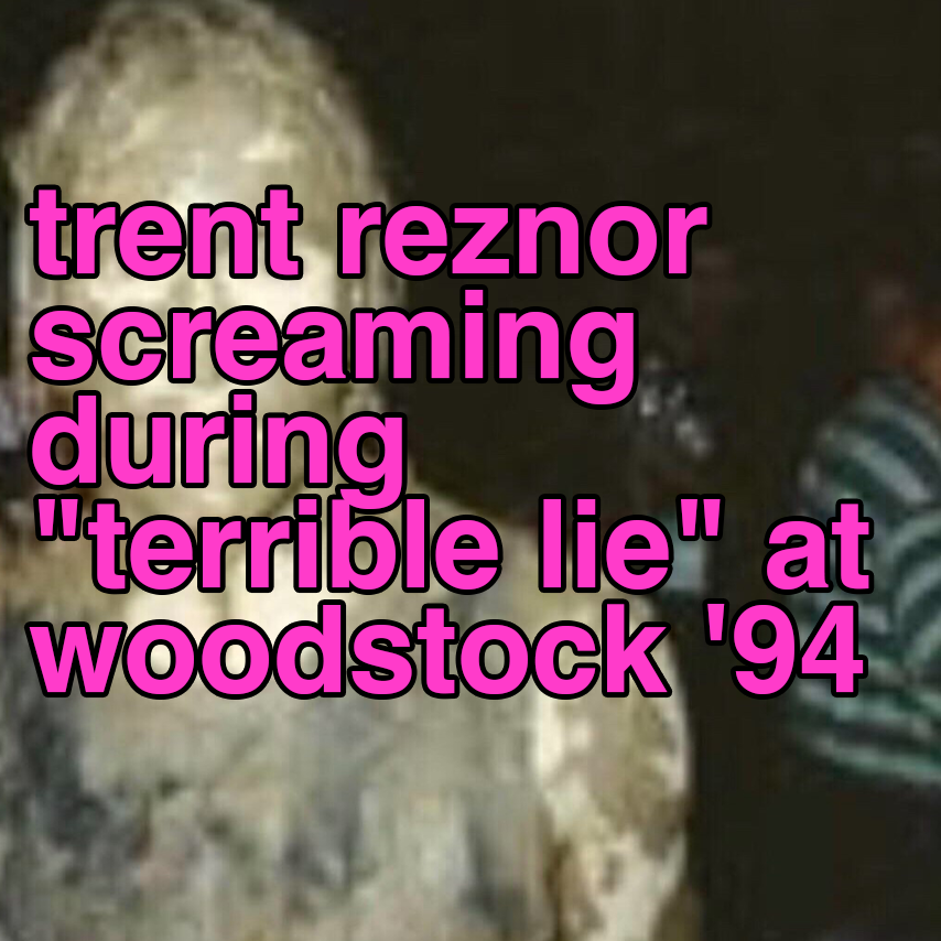 music enjoyer moment: trent reznor screaming during "terrible lie" at woodstock '94