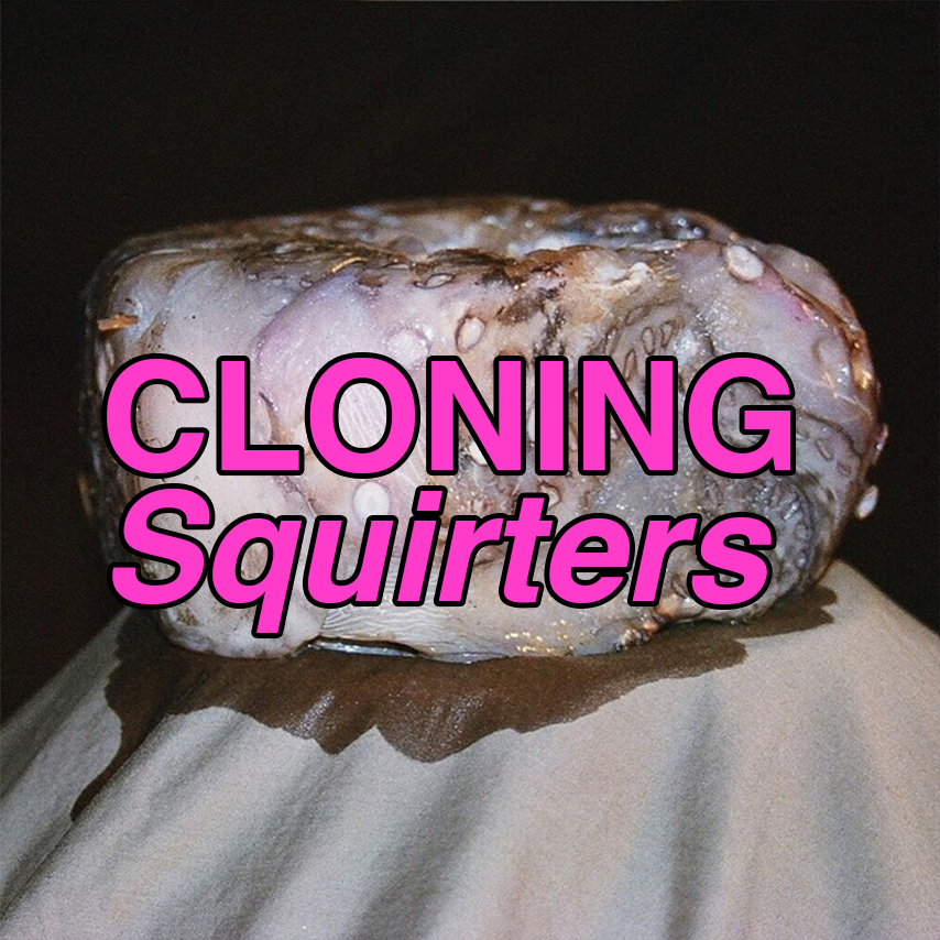CLONING - 'Squirters'