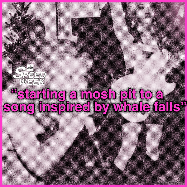 SPEED WEEK part 3: some fast songs from friends of the blog